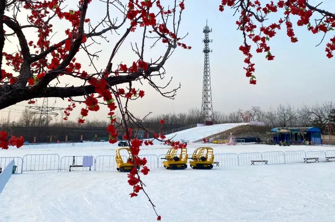 滑冰场旅游,滑冰玩雪