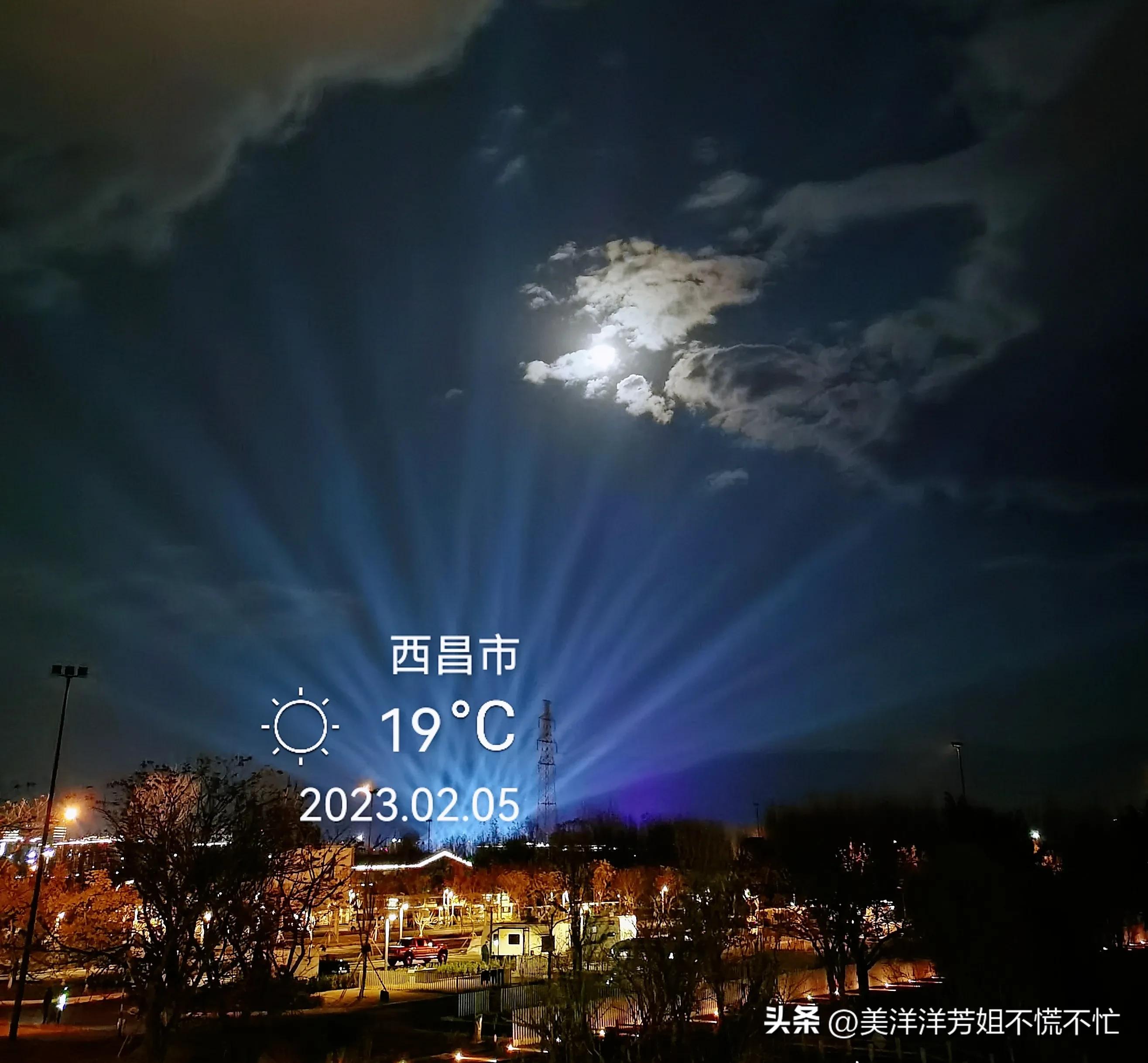 西昌邛海什么时候有海鸥,冬季去西昌邛海喂海鸥