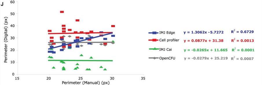 毛滴虫的营养源,毛滴虫营养源是什么