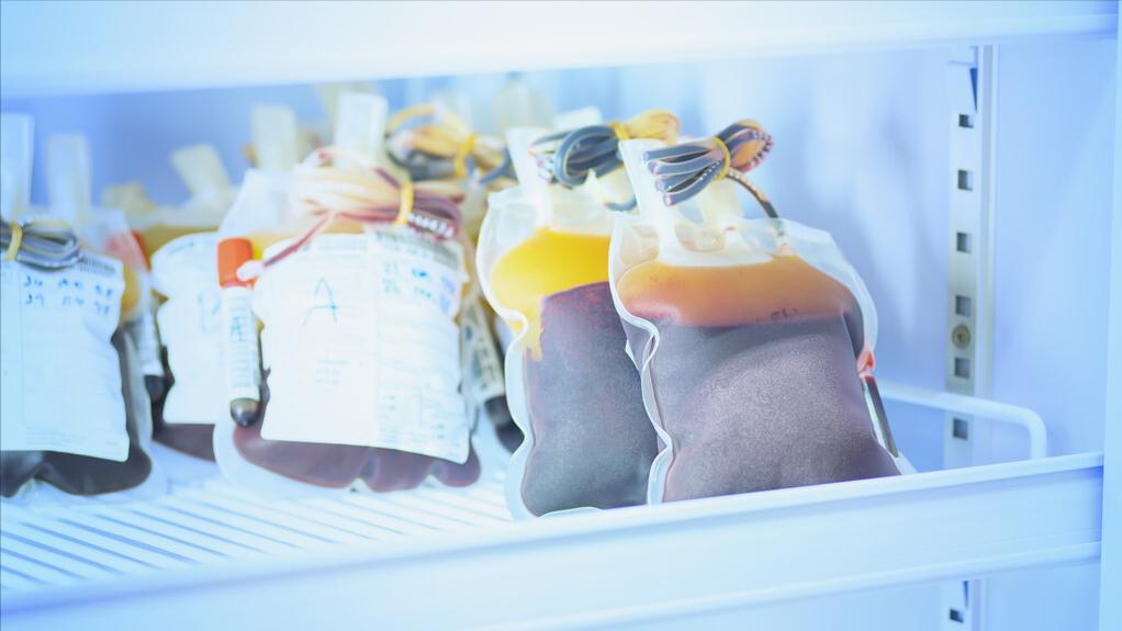 盘点十种神奇动物的价格,盘点五种有巨毒的生物