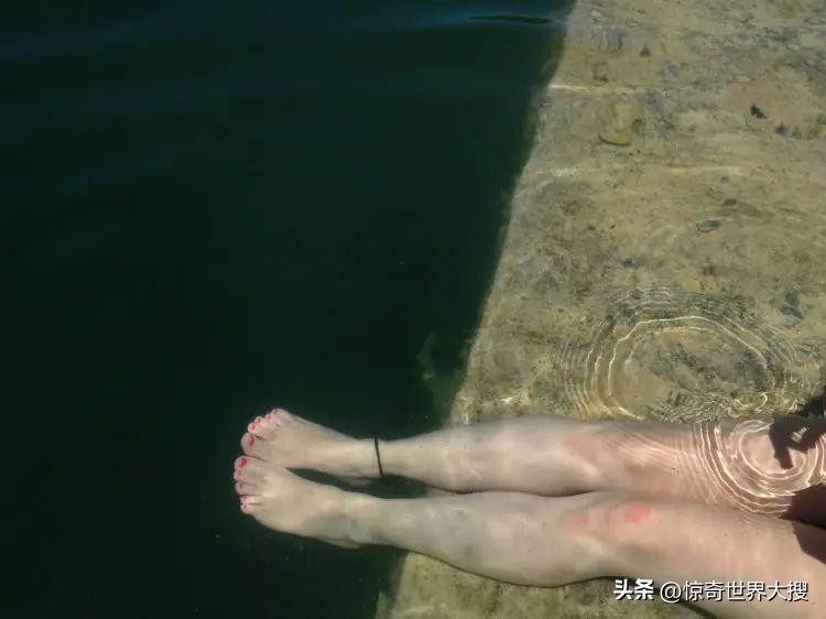 深海恐惧症最怕的100张图,深海恐惧症超长照片