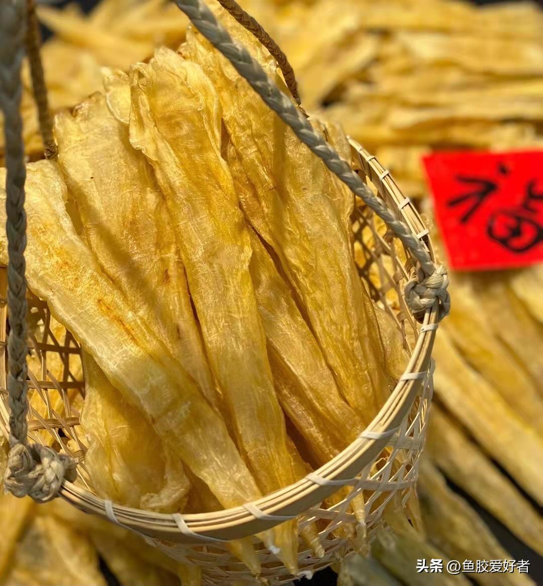 北海胶和大口胶怎么选择,北海公胶和墨西哥胶哪种好