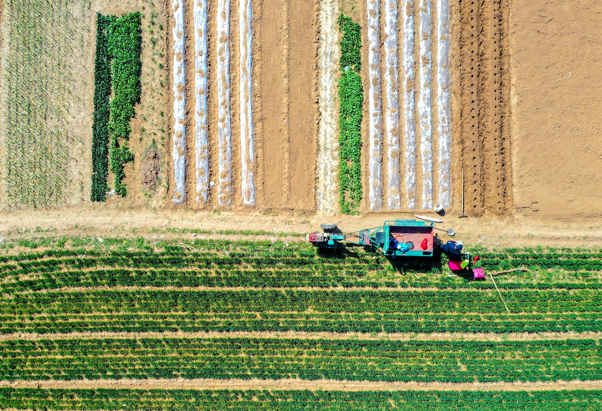 “云”上摄影展丨《徐村*光春**美人勤春来早》