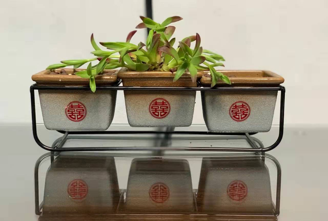 缁撳鍠滃瓧鍥剧墖,鐖嗘缁撳鍠滃瓧