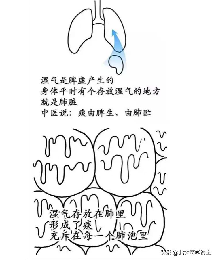 尿酸高湿气重如何调理,尿酸高湿气重如何饮食