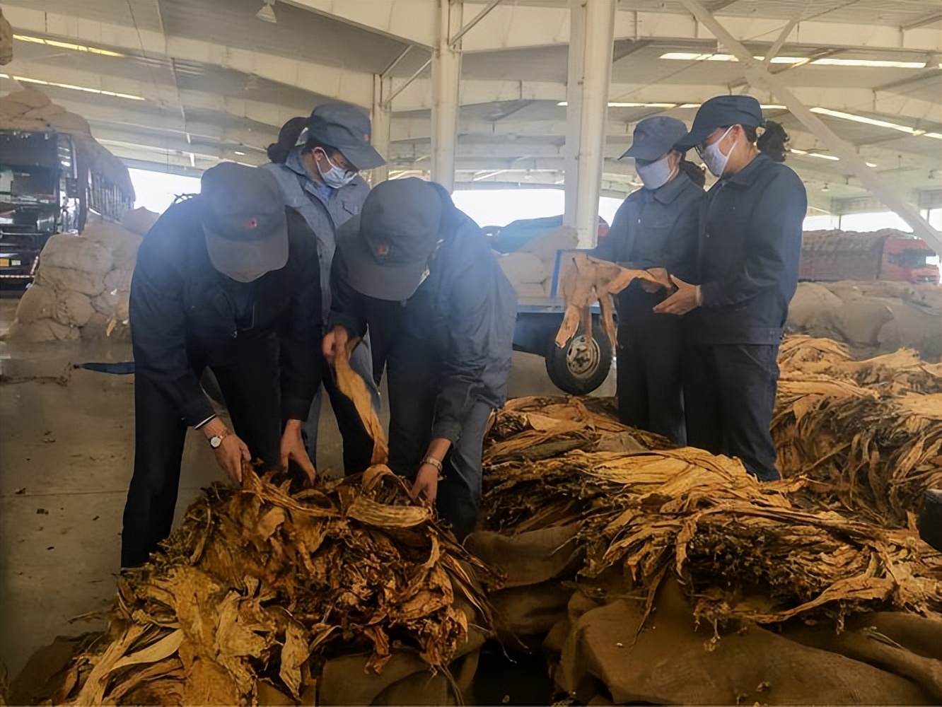 正宗的最便宜雪茄多少钱一盒,最便宜的雪茄的价格多少钱一盒