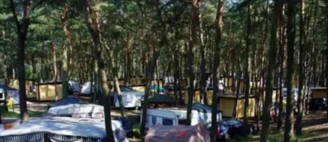 女大学生酒醉被强奸，以为做*梦春**热情配合，纳闷这梦怎么那么真实