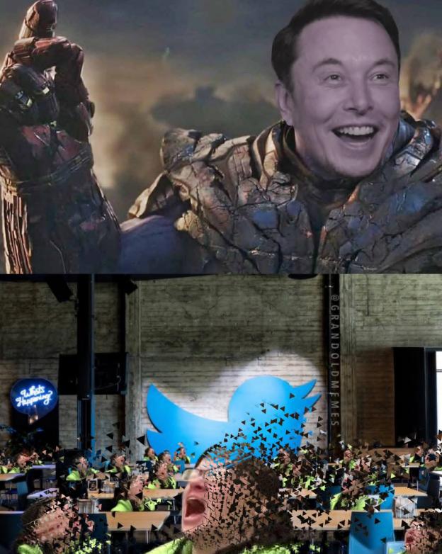 马斯克收购推特会释放被封号码吗,马斯克收购推特后各国反应