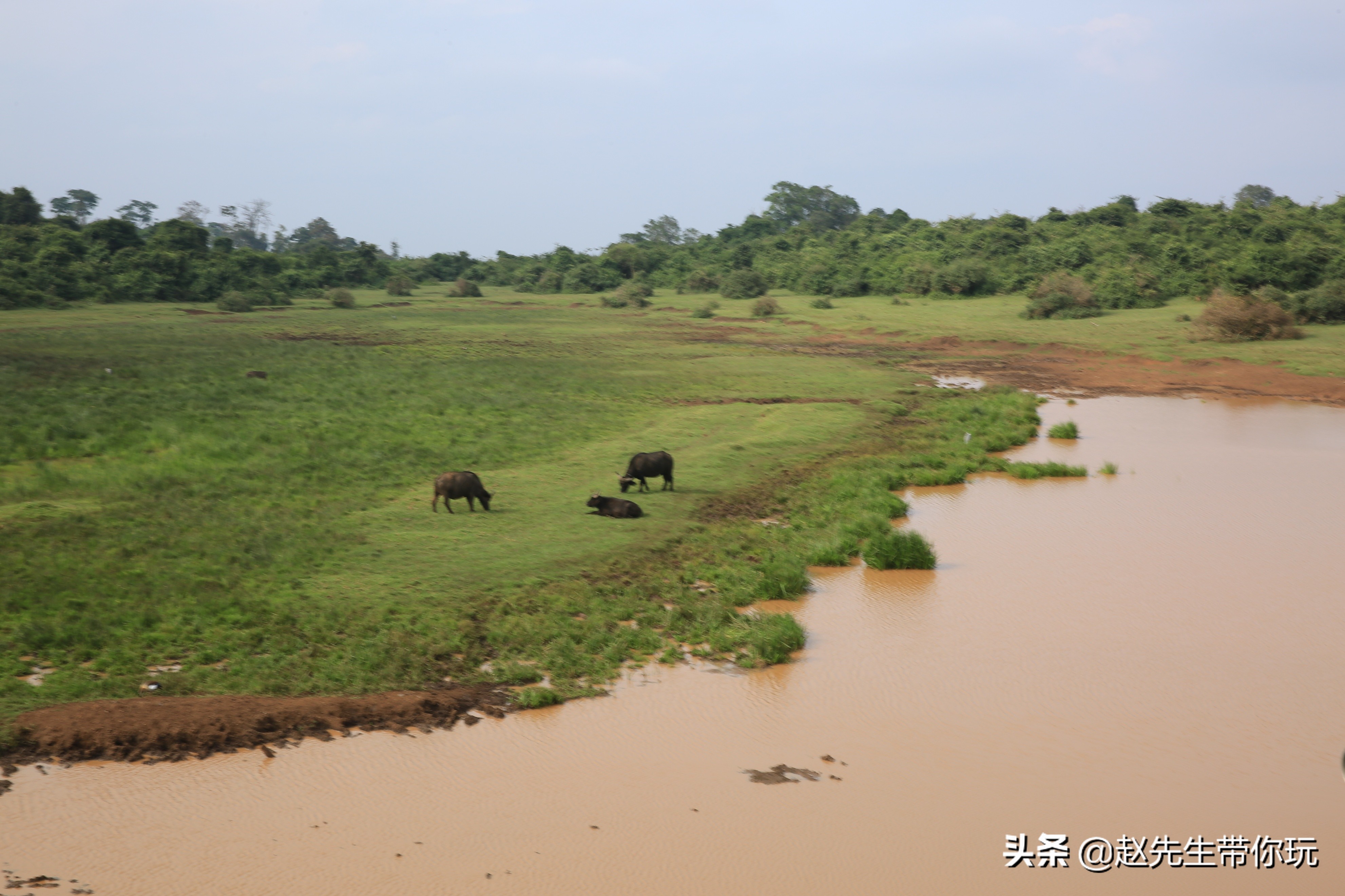 二十年游历分享之202:非洲19:肯尼亚18尼耶利的方舟酒店
