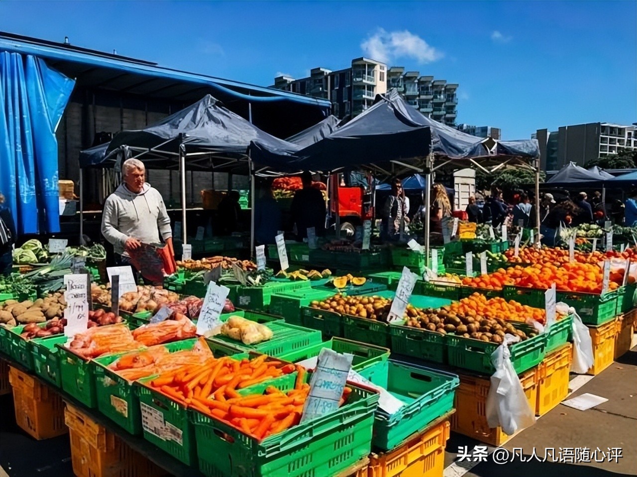 周游记2新西兰之旅,新西兰之旅15集