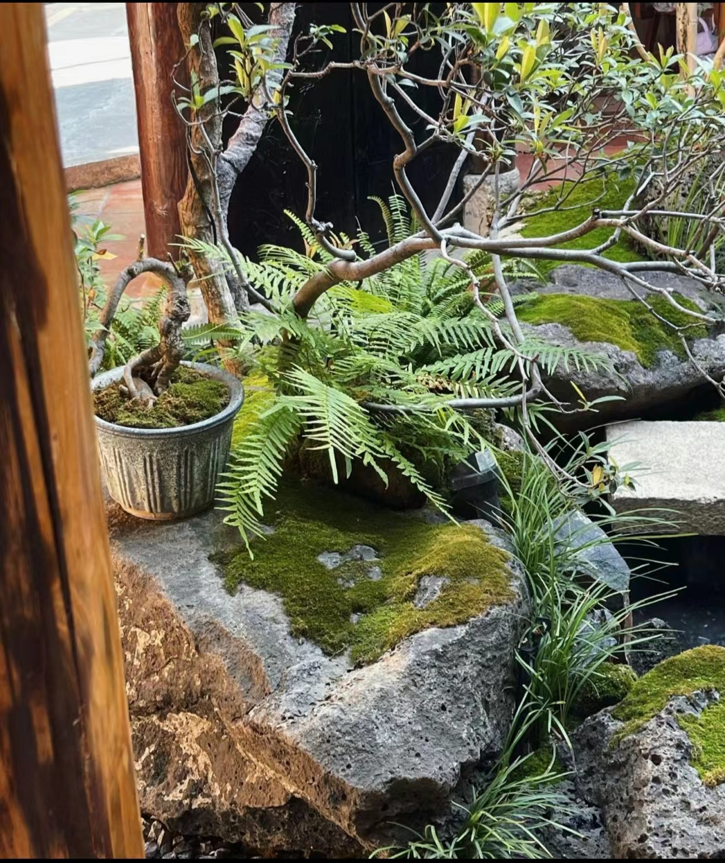 星驰觅食记，小院下午茶