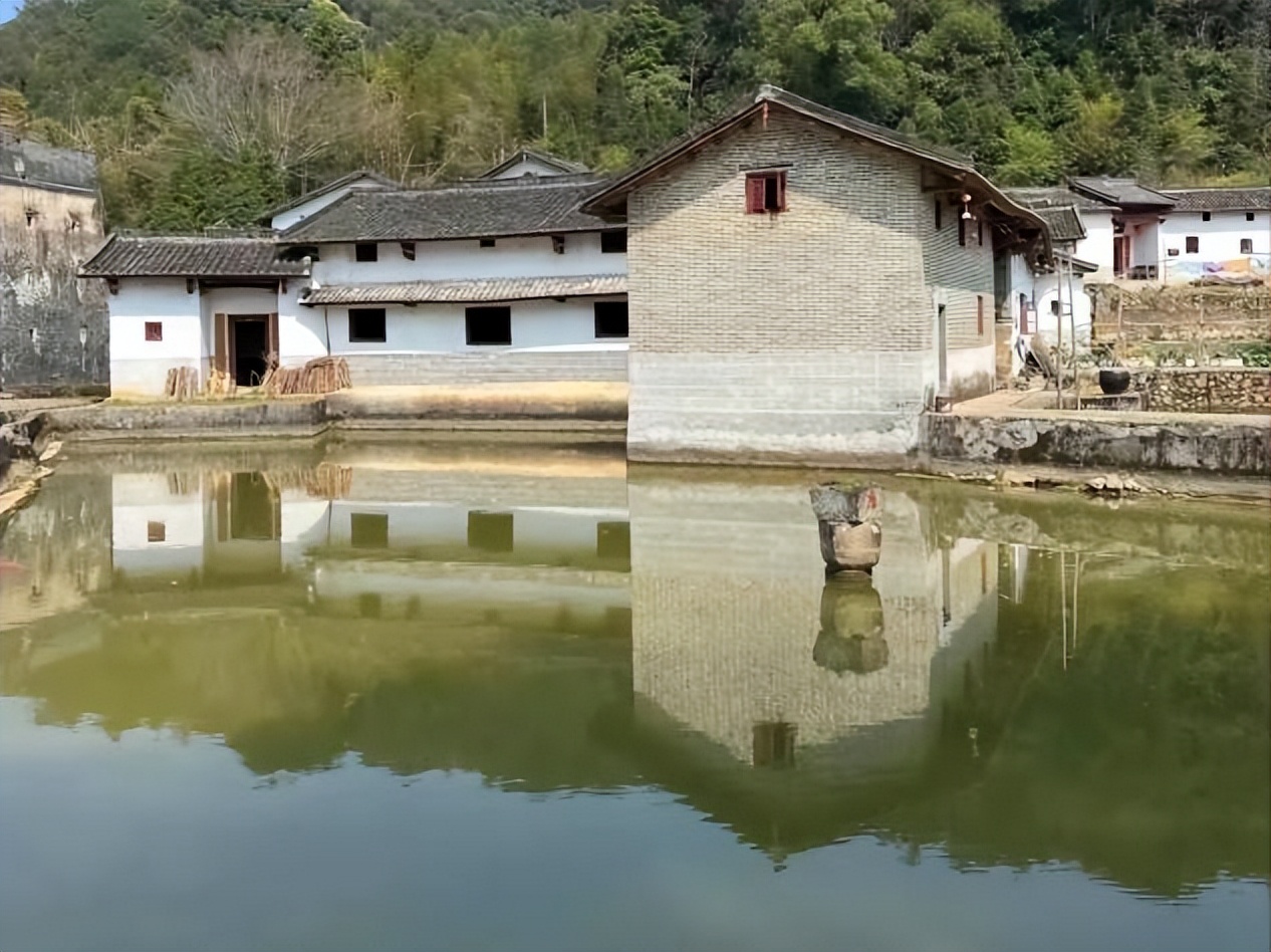 浙江第一富婆宾利姐现状,浙江富婆宾利姐年轻时