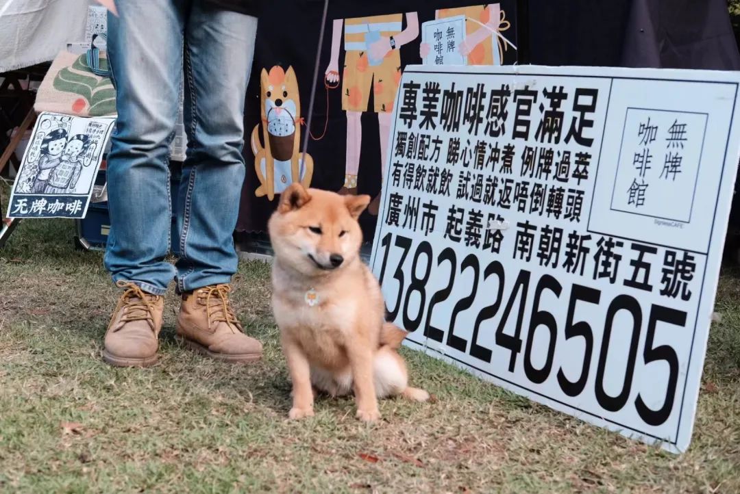 上海日营业额十万的咖啡店,乡村咖啡馆单日营业额超30万元