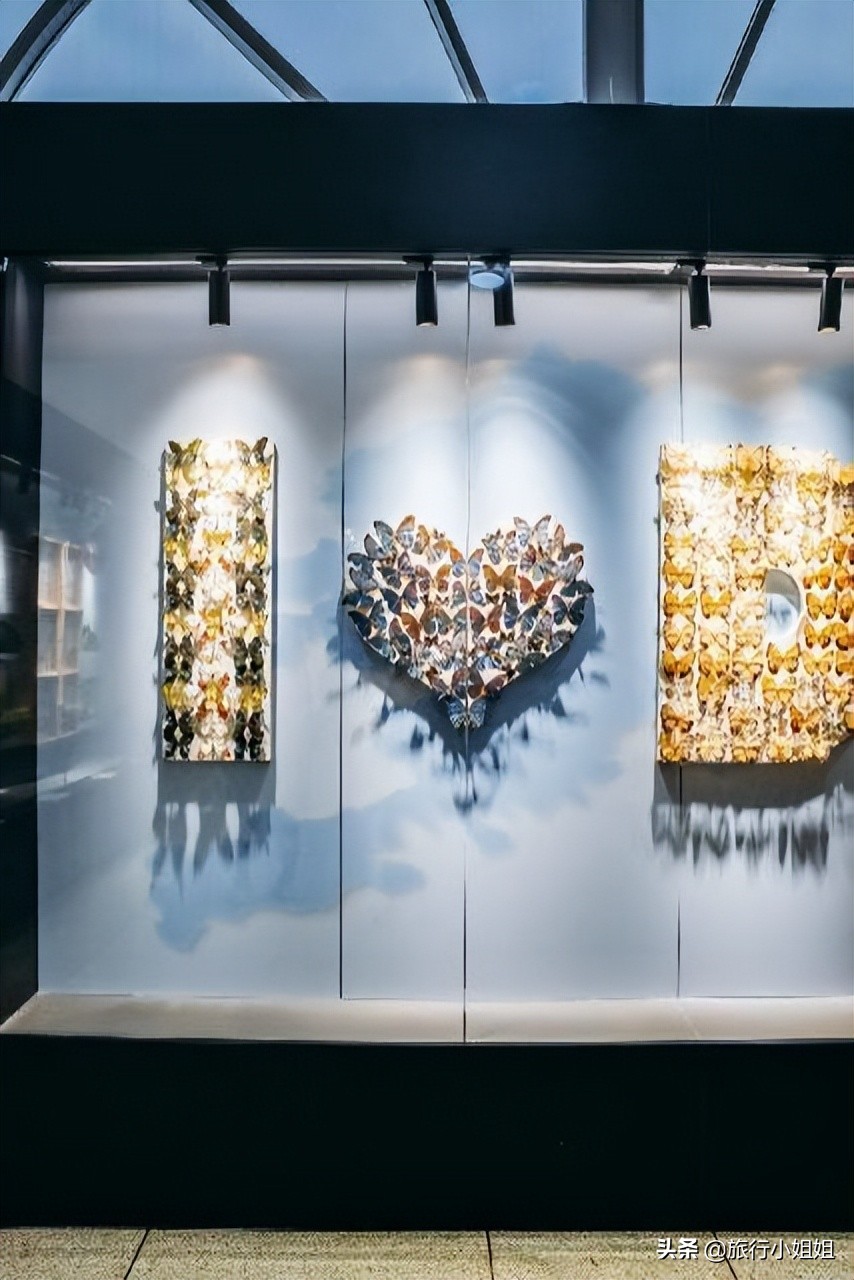 夏日海边微醺氛围感,滨城风光秀丽浪漫气息爆表