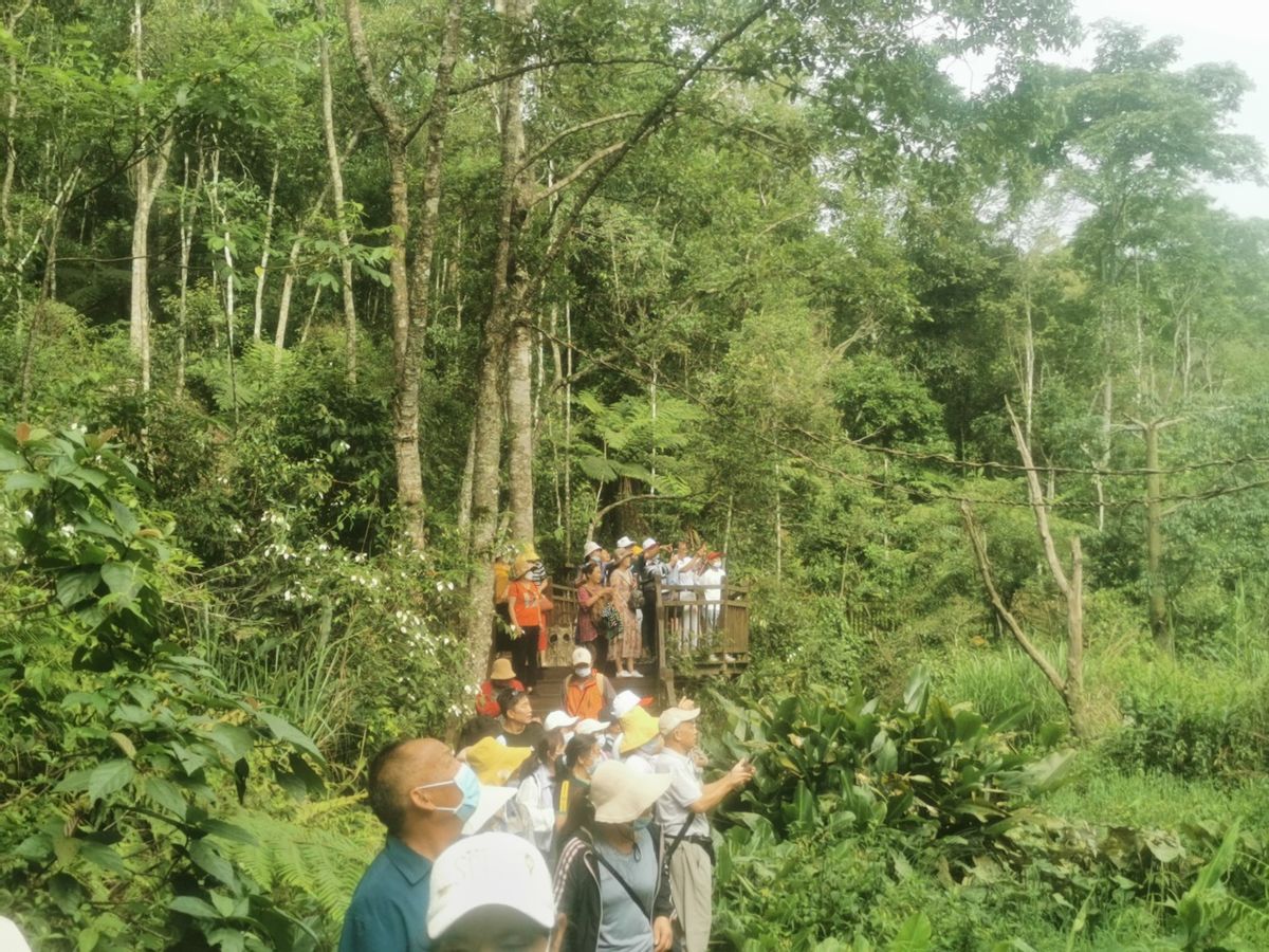 西双版纳翡翠比大理便宜吗,西双版纳被称为绿宝石