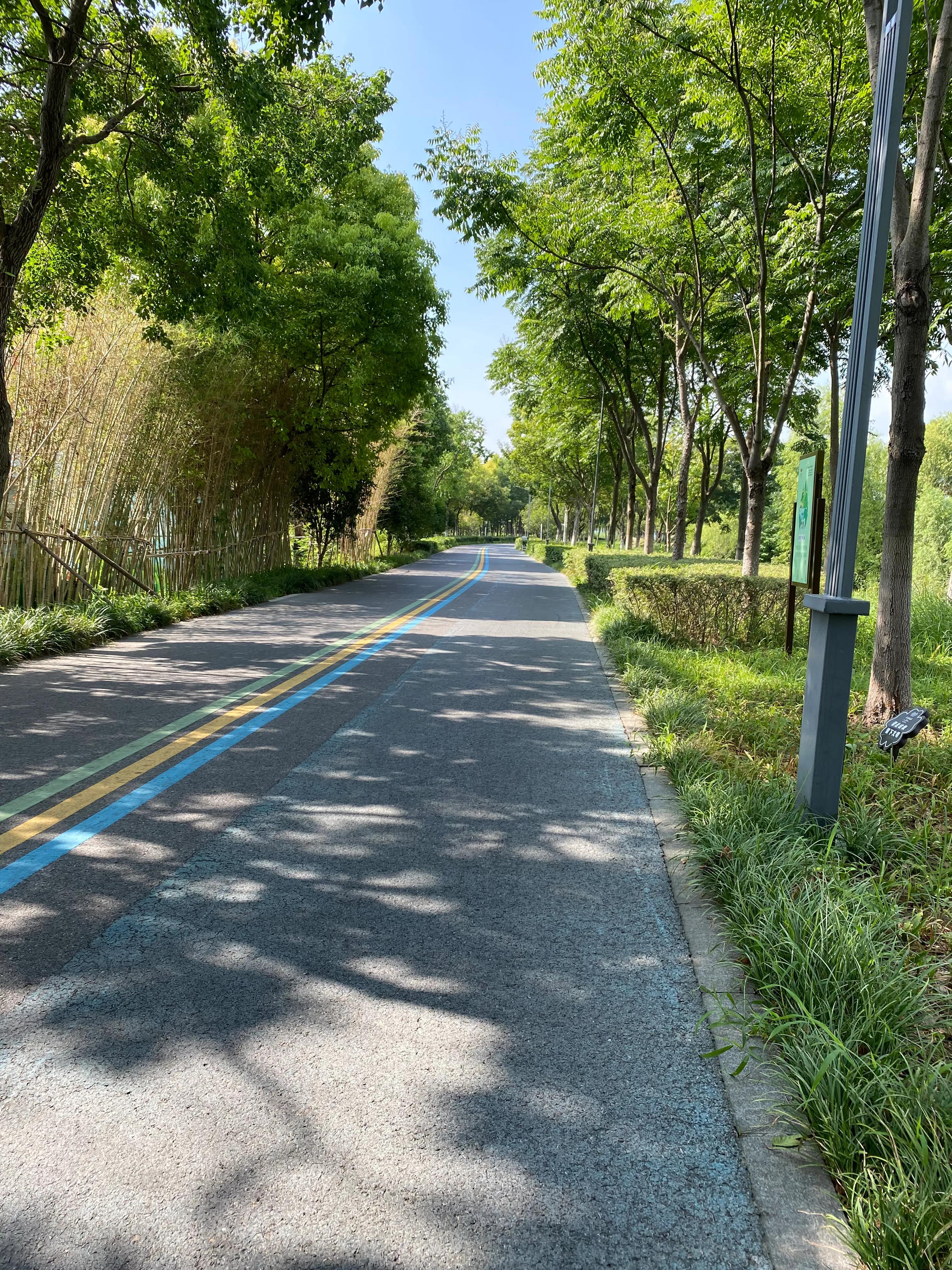 钃濆ぉ鐧戒簯鏌虫爲妗冭姳灏忔ˉ娴佹按,钃濆ぉ鐧戒簯缁挎爲寰闃冲厜鏄庡獨