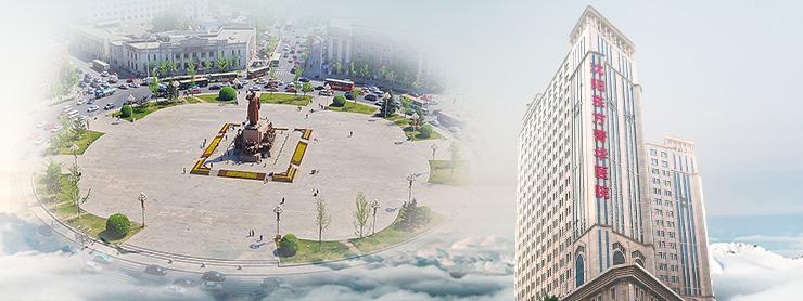 鑿佸崕鍖荤枟闆嗗洟,鑿佸崕鍖荤枟