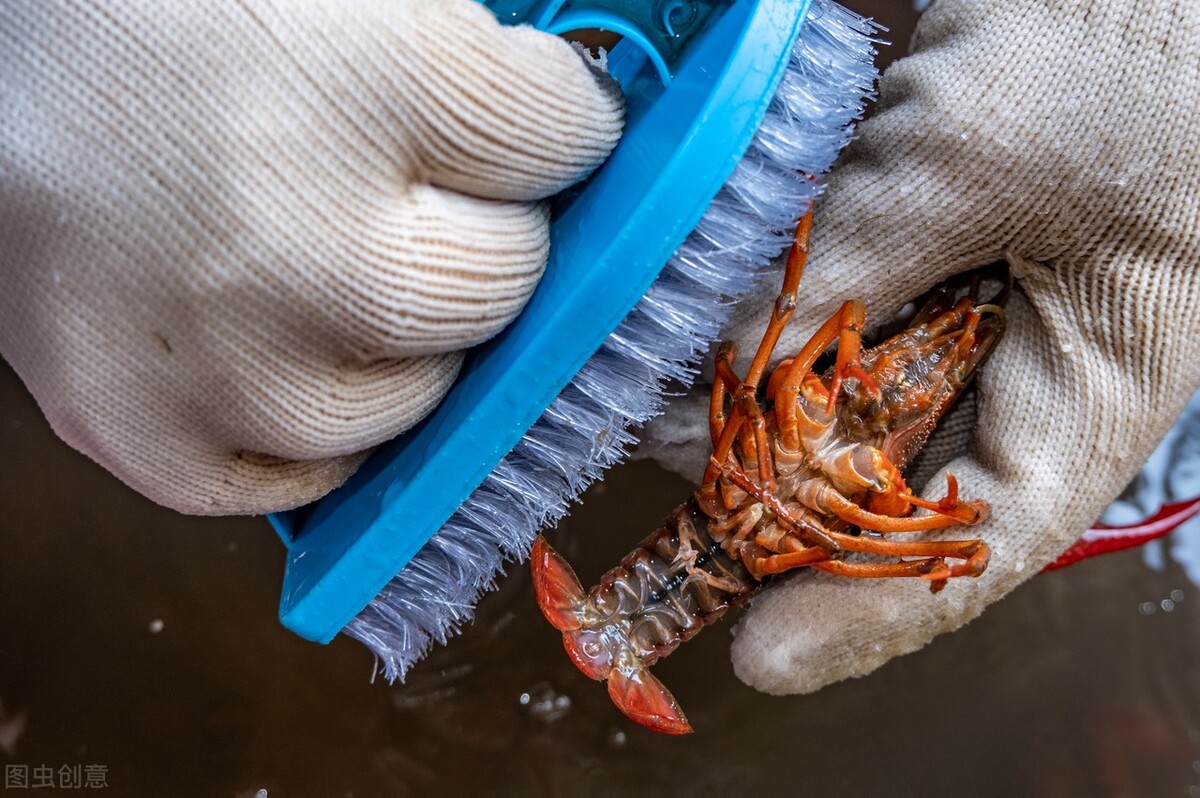 煮熟的小龙虾含有啤酒能吃吗,小龙虾吃太多是否会引起痛风