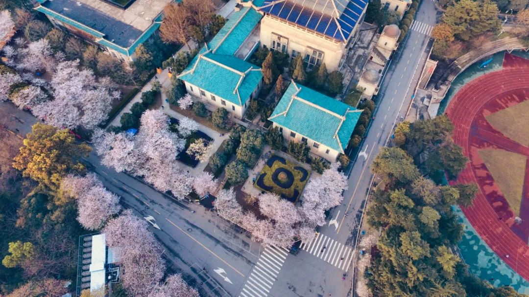 2024年武汉大学高校专项招生简章,武汉大学本科招生表