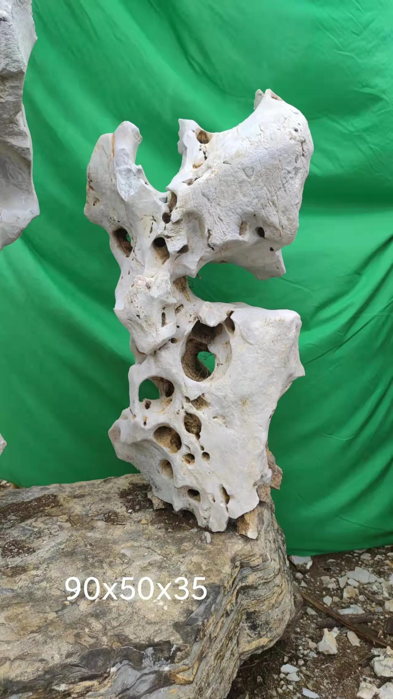 太湖石鱼池造景农村庭院 (太湖石庭院观景石园林造景石)