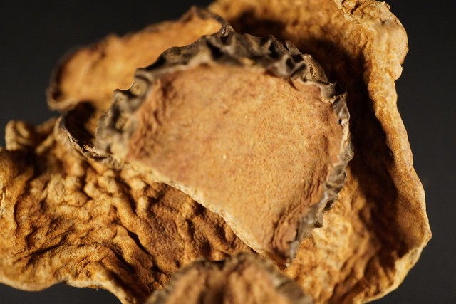 化痰止咳平喘药中药,平喘止咳化痰的药有哪些中药