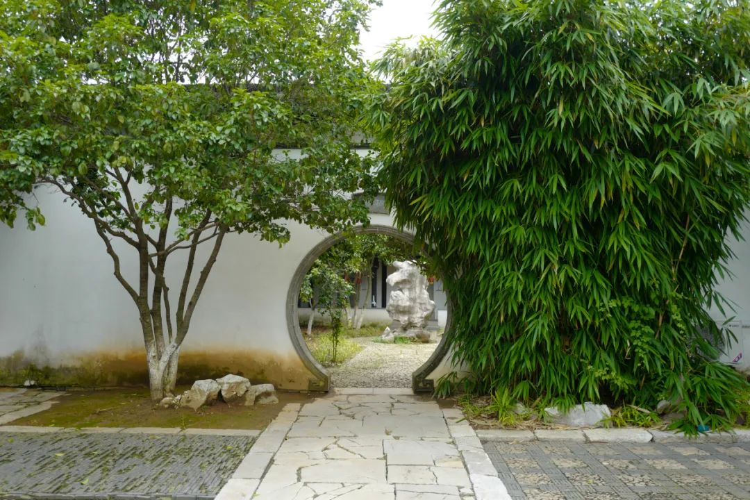 我去竹林避暑了，夏天过完再通知我！