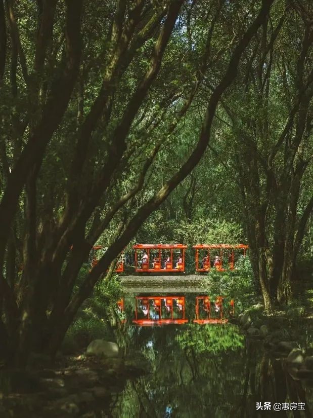 上海公园免费,上海免费公园排行