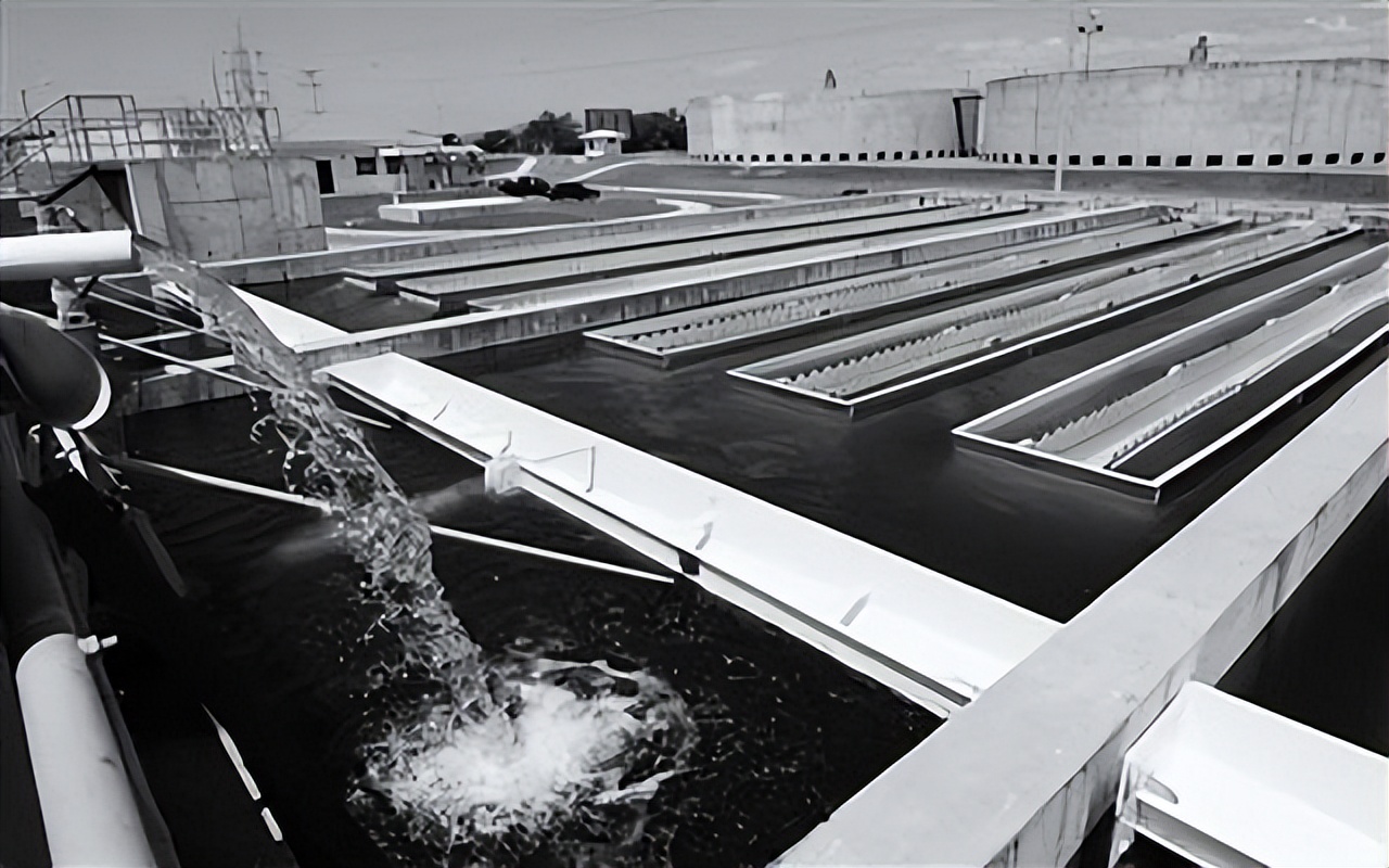 娌欑壒鍏ュ绂佷护,娌欑壒绂佹鍑哄彛鐭虫补