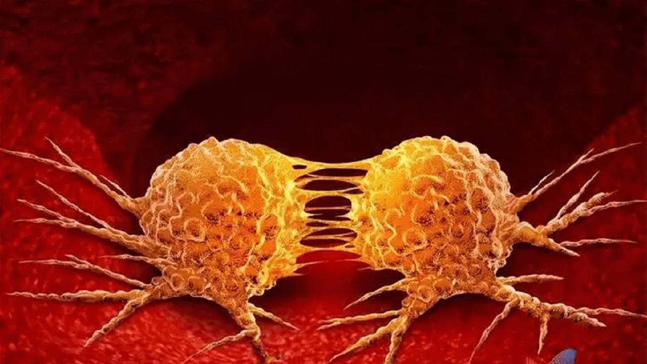 女性做妇科检查前,为何要禁欲?不禁欲会怎样?医生:有3大后果