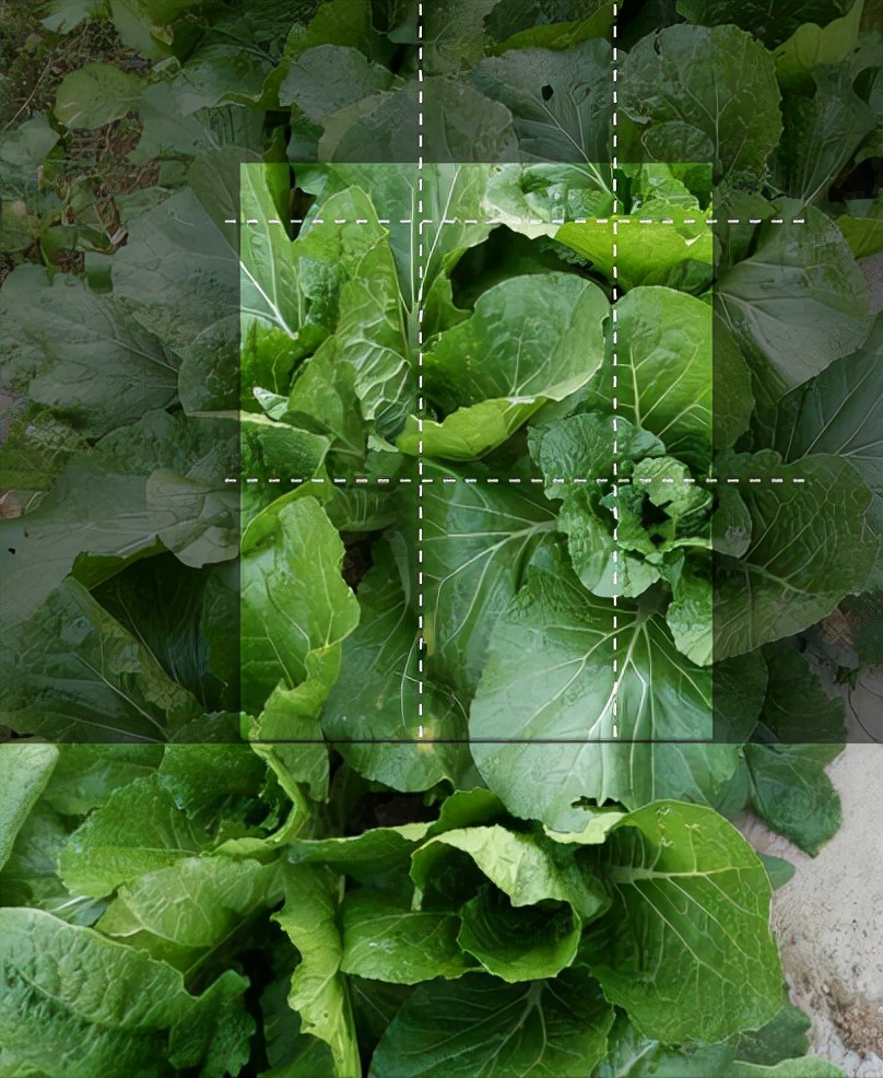 公安私房菜,公安菜特色