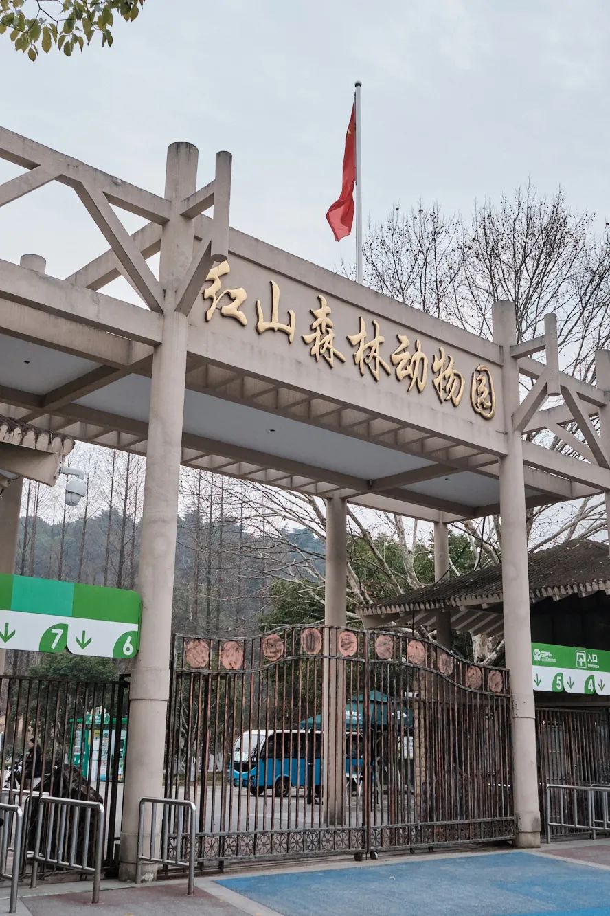 红山动物园亏损3千万网友很着急,近两年疫情原因导致亏损如何翻身