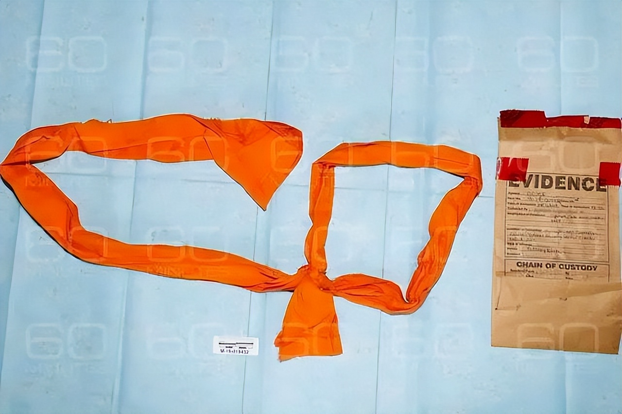 美国变态亿万富豪买下私人岛屿,美国千万富豪打造萝莉岛