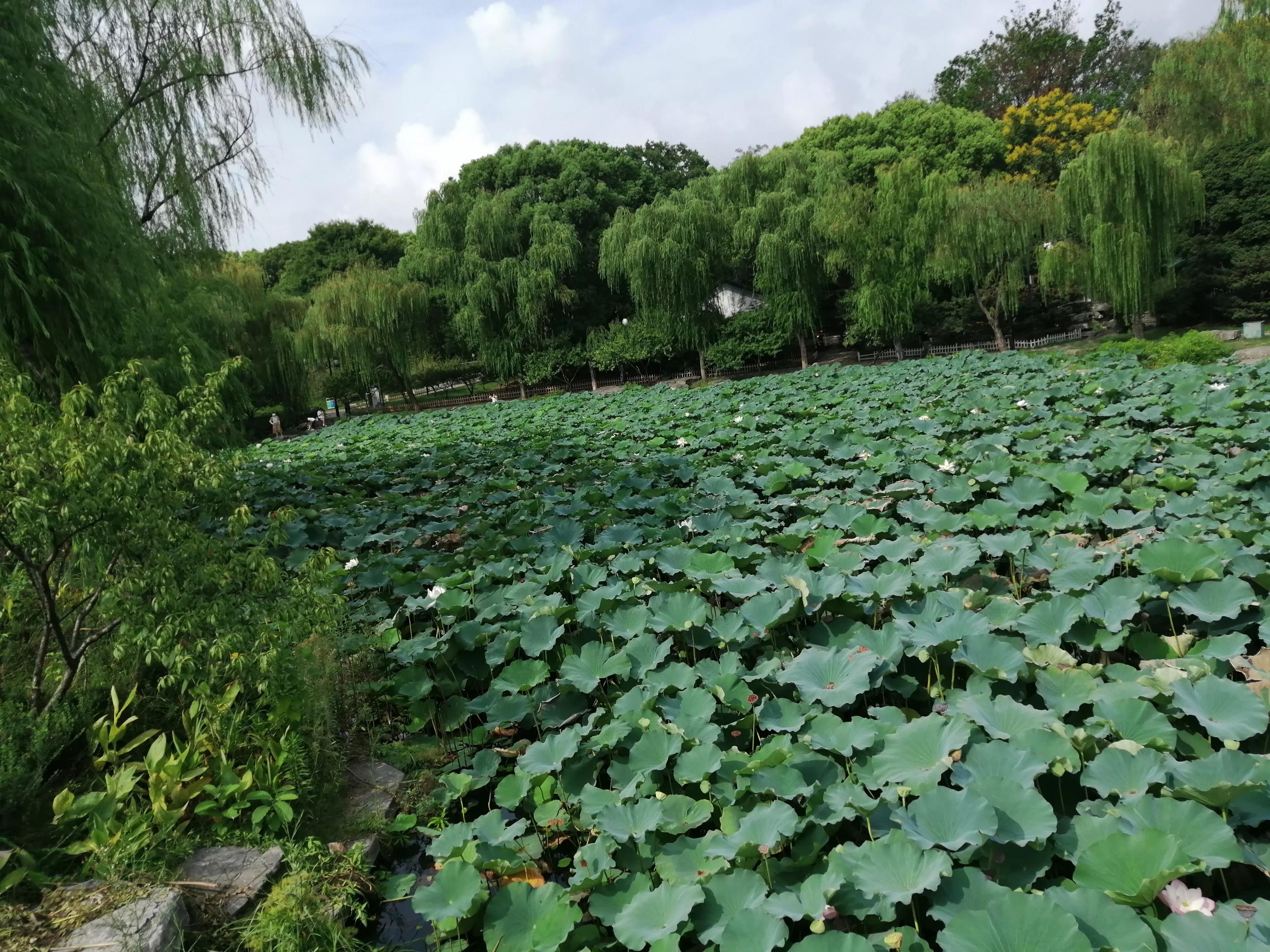 东园好玩的景点推荐,东园旅游景点推荐