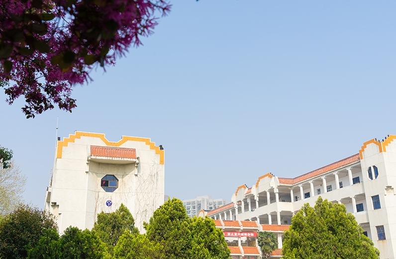 黄陂市新洲一中怎么样,武汉新洲一中与黄陂一中哪家强