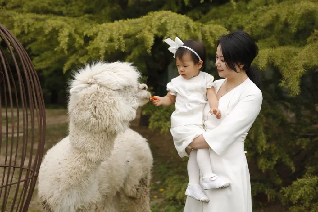 孕期囤货超实用妈妈待产好物分享,宝宝好物合集618囤货开箱来啦