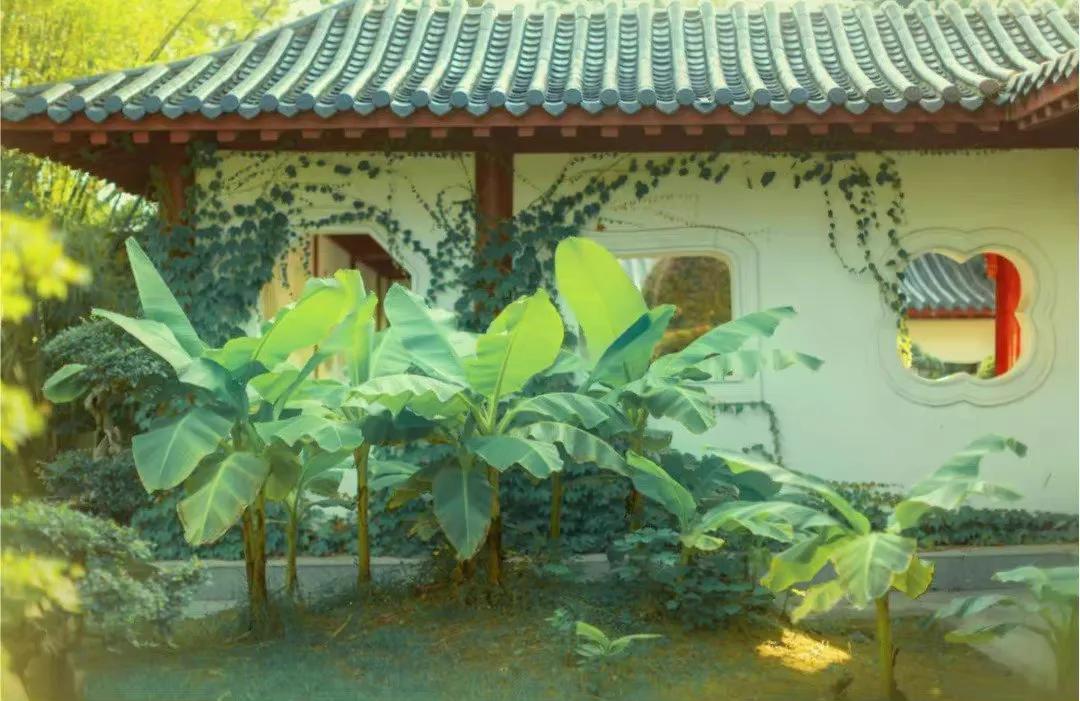 古文怎么表达日久生情,古文中的爱意