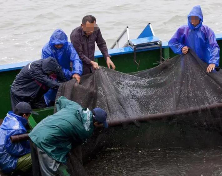 16年，老板骗打渔工进玉米地，倒扣他150元工资，最后员工被判刑