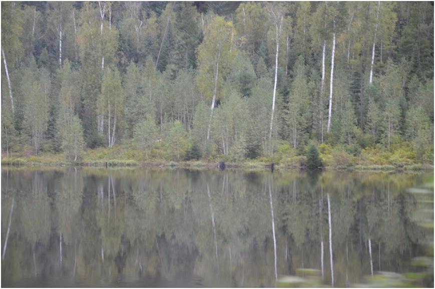 我有一帘幽梦歌曲完整版,电视剧我有一帘幽梦