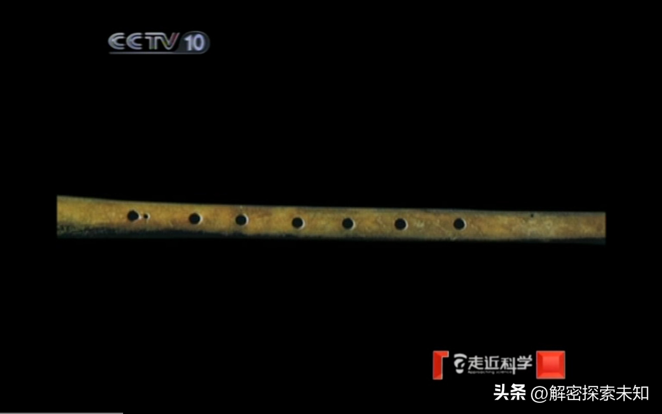 甲虫进化史讲解,甲虫进化史哪些虫真实存在