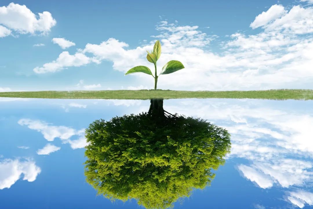 2023年如何理财最划算,怎样理财稳而又生钱入门教程