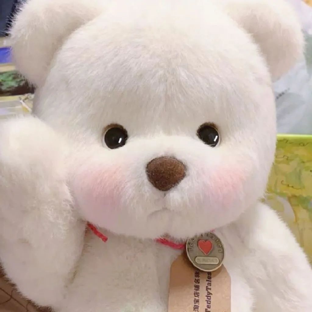 可可爱爱的宠物头像,可可爱爱小熊头像