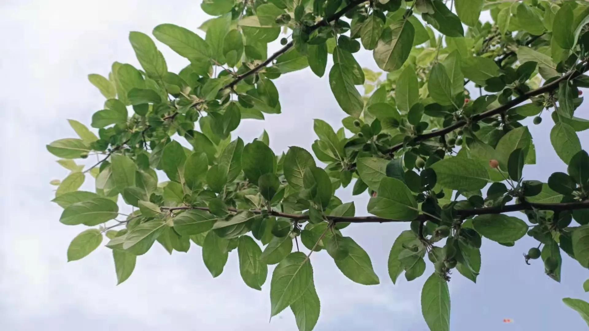 租房子的装修费怎么做账务处理,租用房屋装修费怎么账务处理