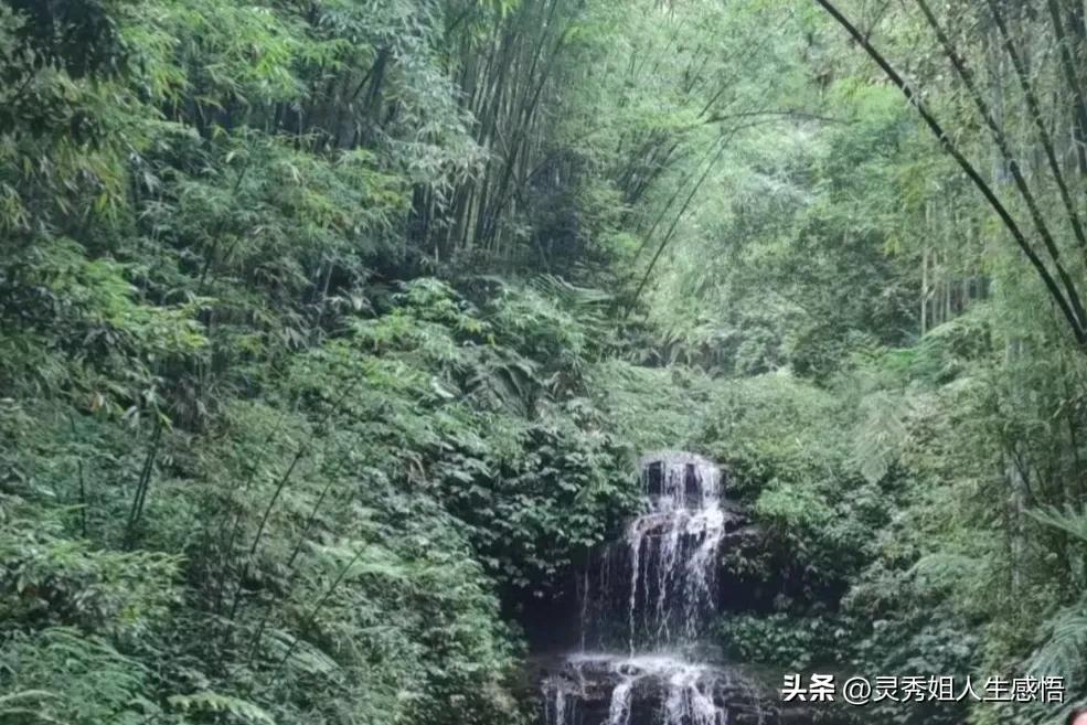 川南竹海,川南三大景点排名