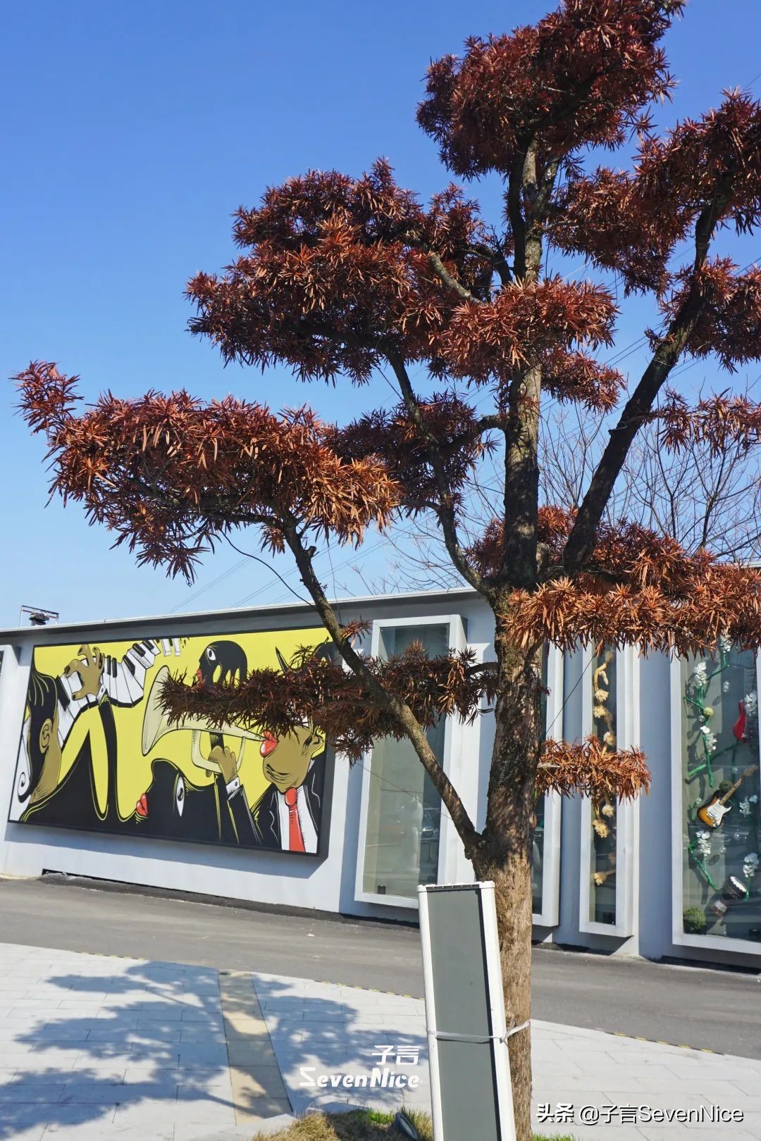 南昌的雨后天晴,南昌的风和雨