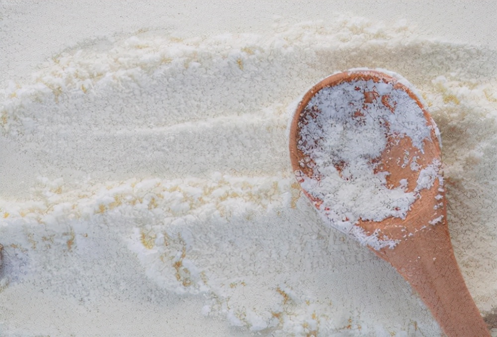 猫日记写什么,猫日记主要写了什么