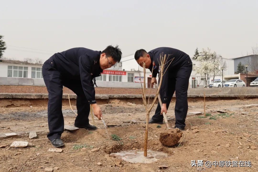 拥抱春天播种希望植树节手抄报,植树节拥抱春天播种梦想主题班会