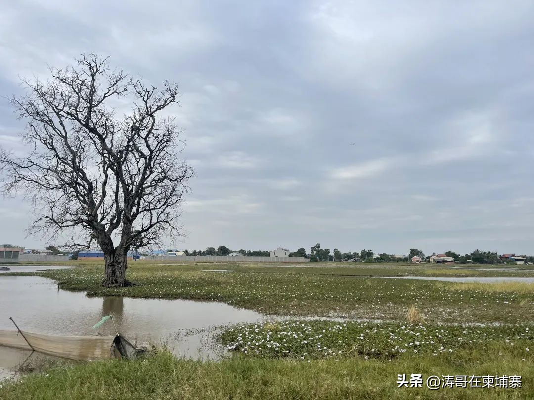 投资柬埔寨金边的都怎么样了,投资柬埔寨靠谱吗