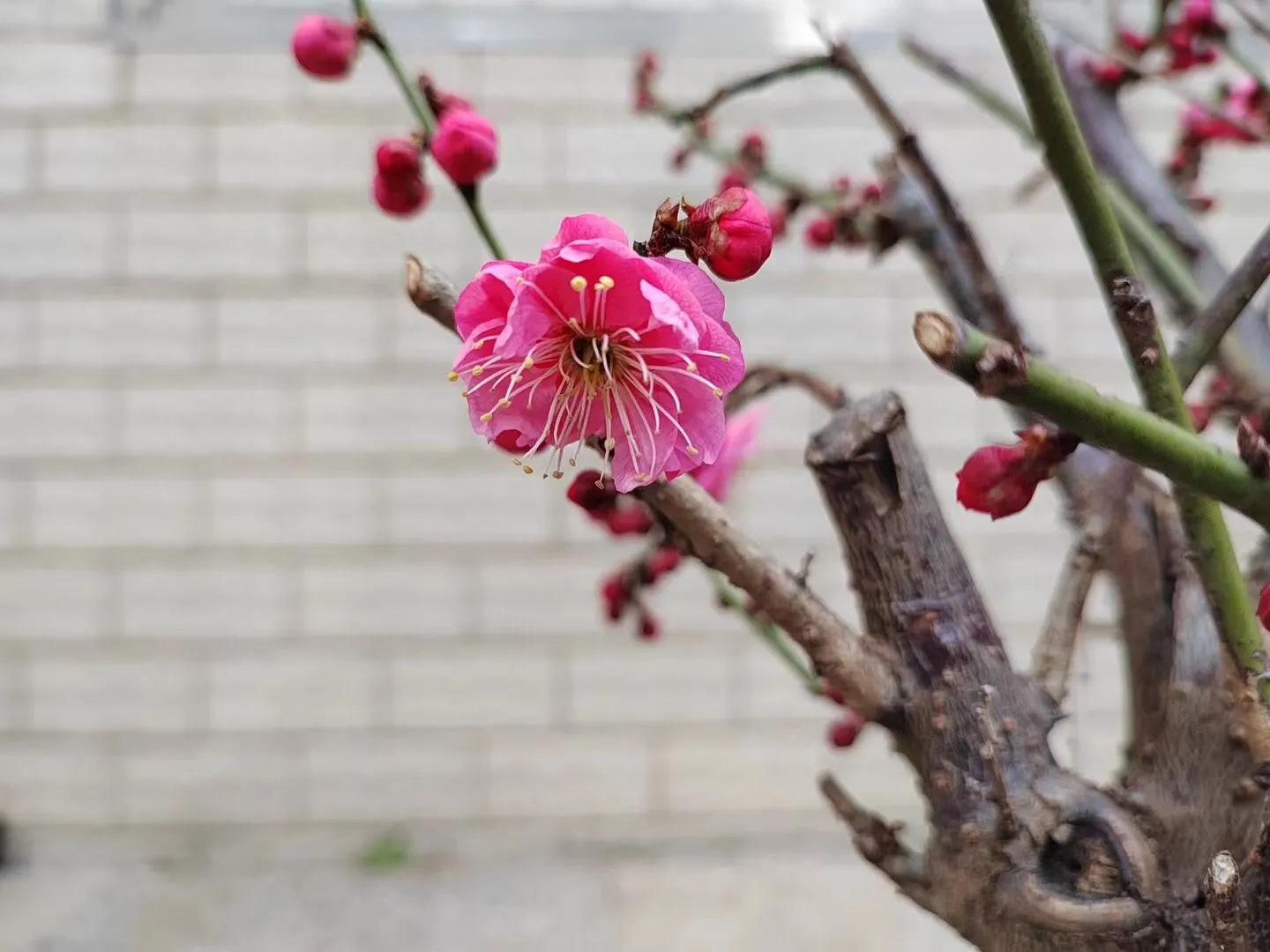 学生在课堂上起冲突的情景,学生课上吵架怎么解决
