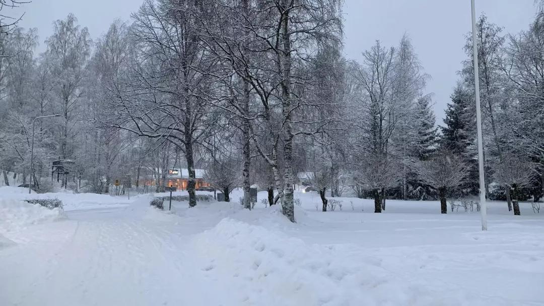 他在圣诞老人故乡做代购，每到这天有十几万人在淘宝围观他过圣诞