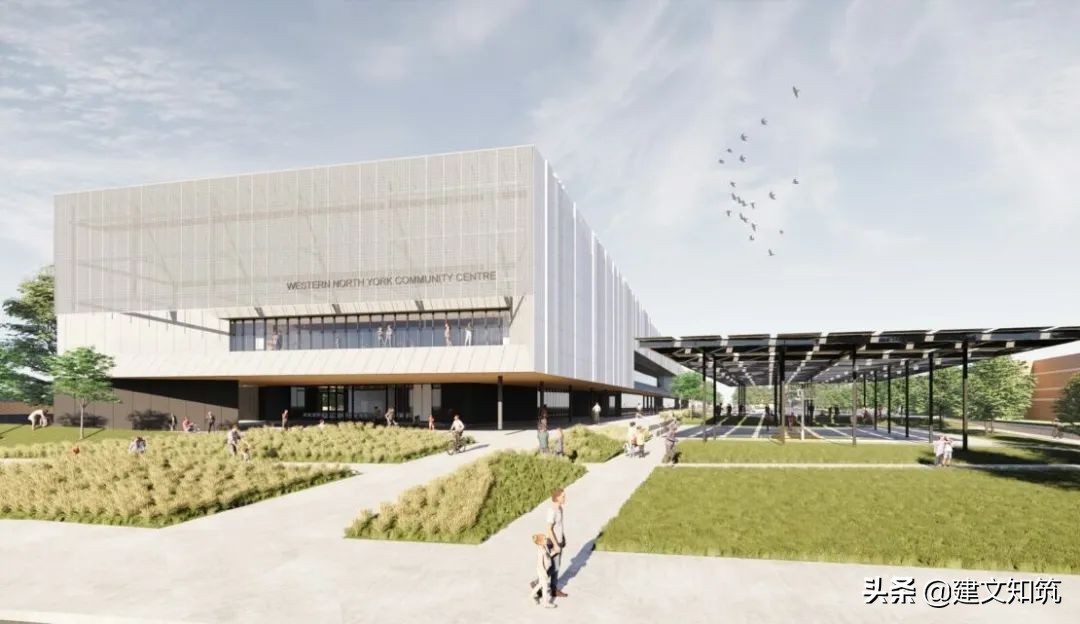 waf2023世锦赛,waf国内排名